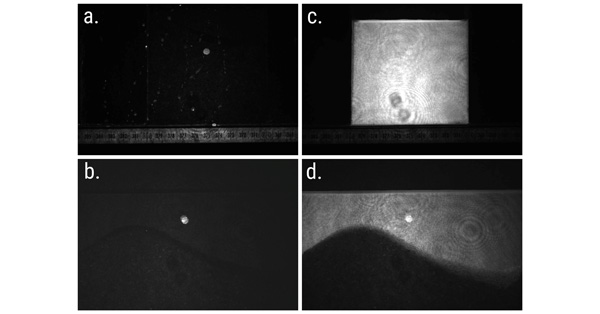 article primary image