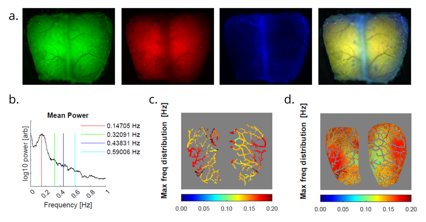 article primary image