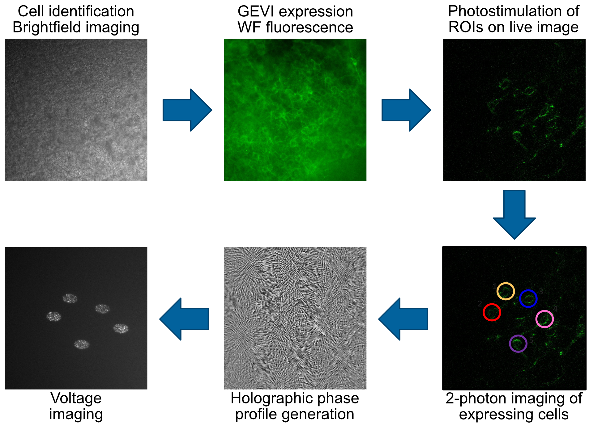 article primary image