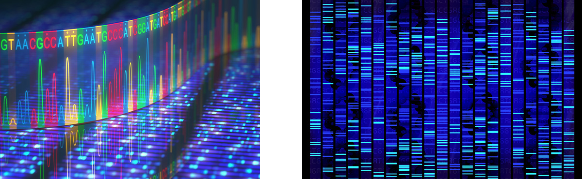 biochip-samples1.jpg