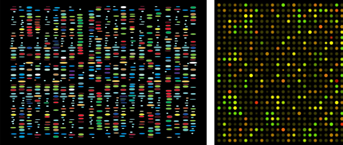biochip-samples2.jpg