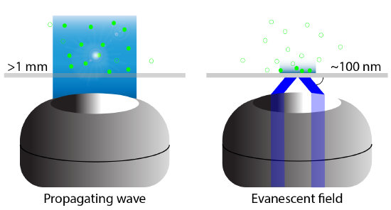 Single-molecule-01.png